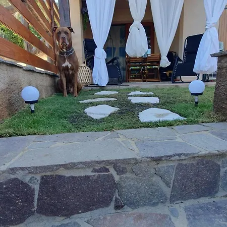 Villavittoria Casa vacanze *