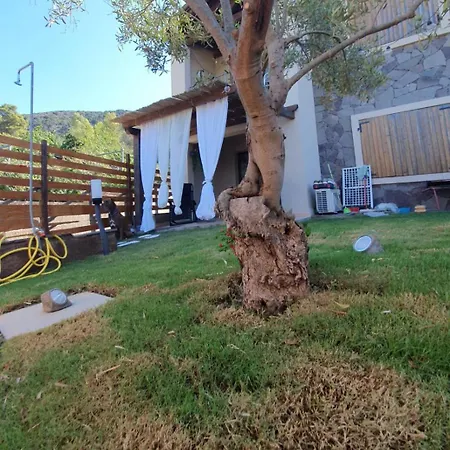 Villavittoria Chia